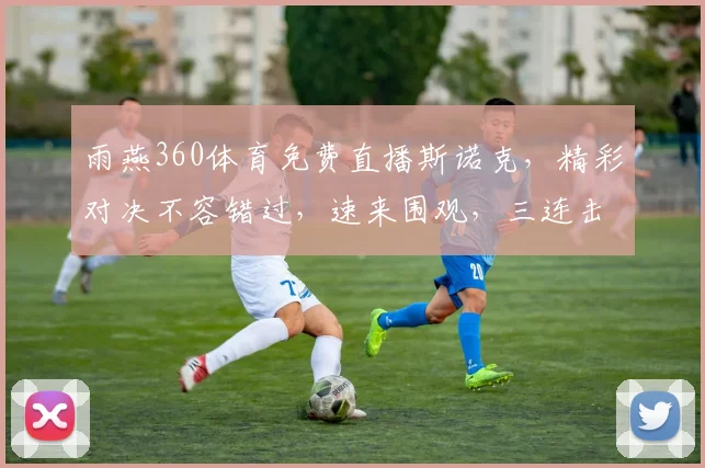 雨燕360体育免费直播斯诺克，精彩对决不容错过，速来围观，三连击，激情四溢