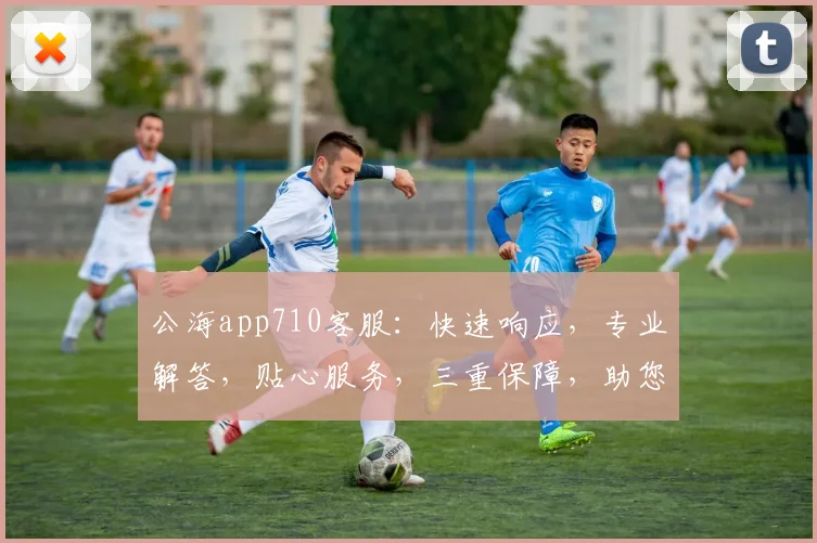 公海app710客服：快速响应，专业解答，贴心服务，三重保障，助您无忧畅游